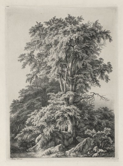 Études dessinées et gravées d