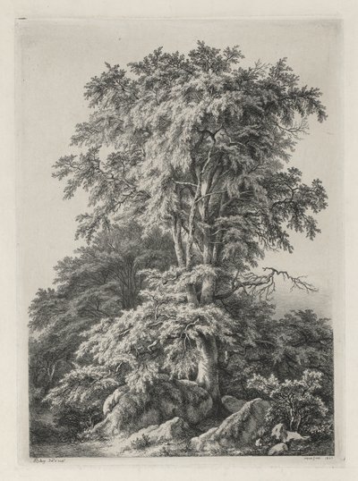 Études dessinées et gravées d