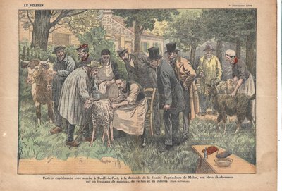À Pouilly-le-Fort, à la demande de la Société Agricole de Melun, Pasteur a testé avec succès son virus du charbon sur un troupeau de moutons, vaches et chèvres., Le Pèlerin, 5/11/1922 - Eugene Damblans