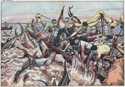 Pêche au thon en Tunisie - Le thon est attrapé dans le dernier filet connu sous le nom de « corpo », il est harponné et hissé dans le bateau de pêche. Illustration de Damblans. Dans « Le Pèlerin » du 30 août. - Eugene Damblans
