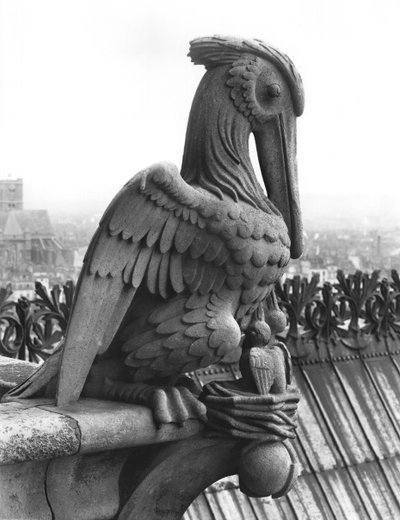 Gargouille de pélican de la balustrade de la Grande Galerie de la façade ouest, réplique d