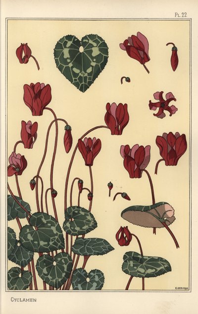 Plante de cyclamen, avec détails de la fleur, des feuilles, des pétales - Eugene Grasset