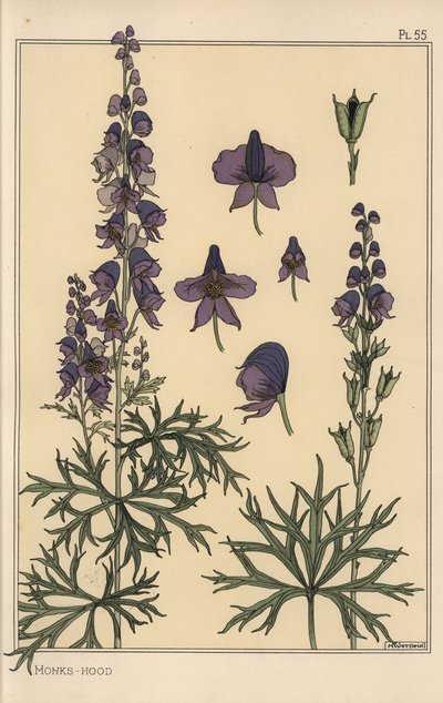Étude botanique de l