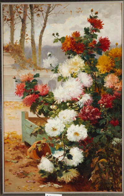 Chrysanthèmes dans un jardin clos - Eugene Henri Cauchois