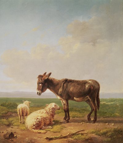 Âne et Moutons, 1849 - Eugene Joseph Verboeckhoven