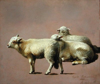 Étude de moutons - Eugene Joseph Verboeckhoven