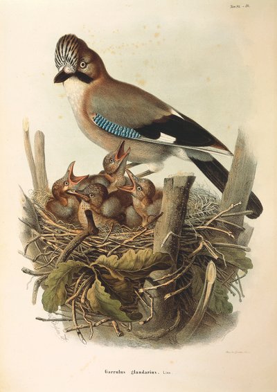 Illustration de l