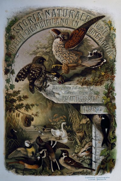 Page de titre de l