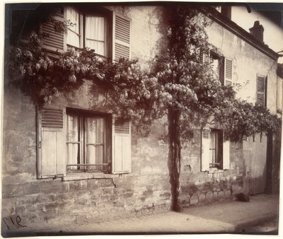 Glycine, Châtillon - Eugène Atget