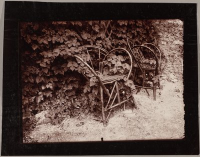Houblon - Eugène Atget