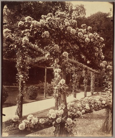 [Jardin de Bagatelle] - Eugène Atget