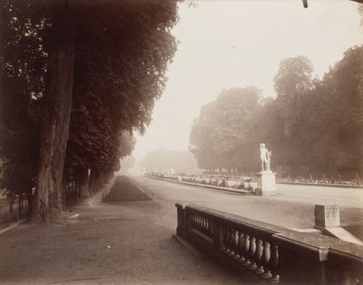Saint-Cloud - Eugène Atget