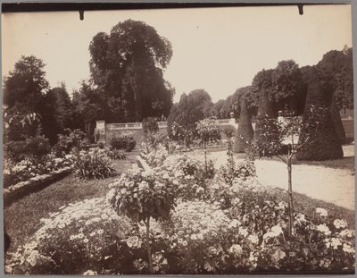 Saint-Cloud - Eugène Atget