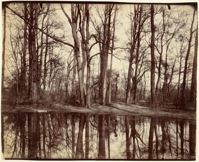 Saint-Cloud - Eugène Atget