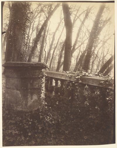 Saint-Cloud Park, Paris - Eugène Atget