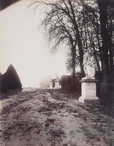Versailles, Allée des Trois Fontaines, c.1906 - Eugène Atget