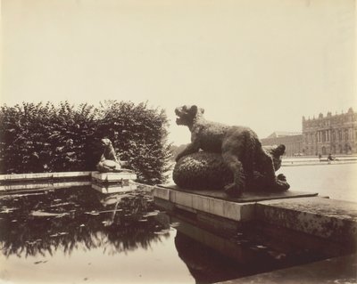 Versailles, Fontaine du Point du Jour, Tigre terrassant un ours par Houzeau, 1903 - Eugène Atget