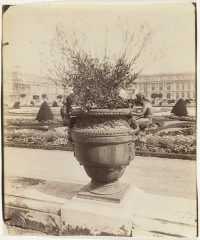 Versailles, Vase par Ballin, 1902 - Eugène Atget