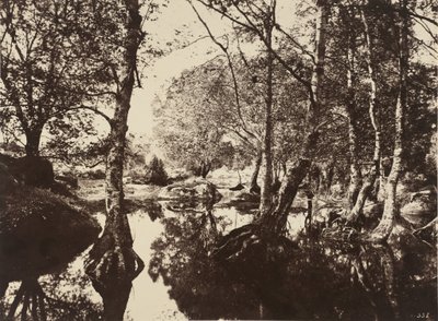 Belle-Croix - Eugène Cuvelier