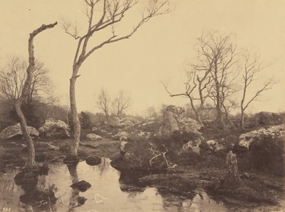 Belle Croix - Eugène Cuvelier