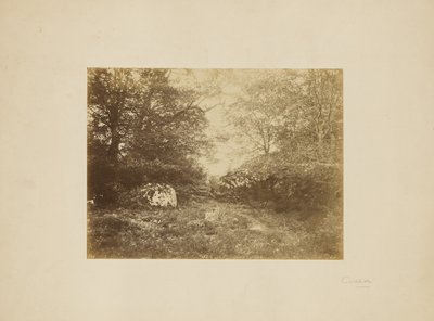 [Étude de paysage] - Eugène Cuvelier