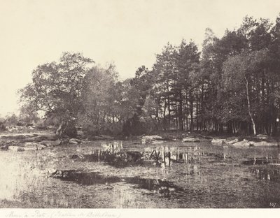Marais à Piat (Plateau de Belle-Croix) - Eugène Cuvelier