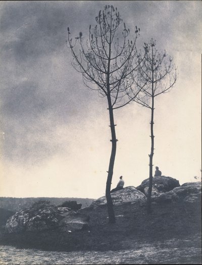 Près de la Caverne, Terrain Brûlé - Eugène Cuvelier