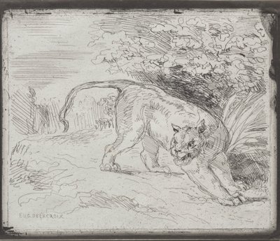 Un Tigre Piégé - Eugène Delacroix