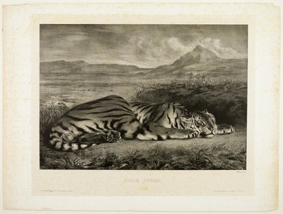 Tigre du Bengale - Eugène Delacroix