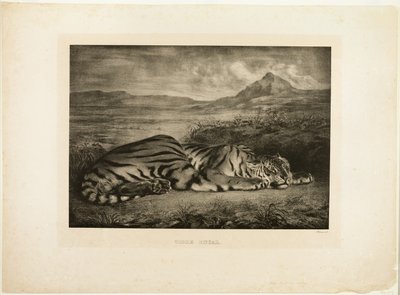 Tigre du Bengale - Eugène Delacroix