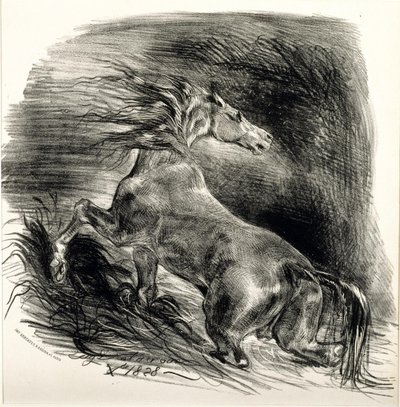 Cheval sauvage - Ferdinand Victor Eugene Delacroix