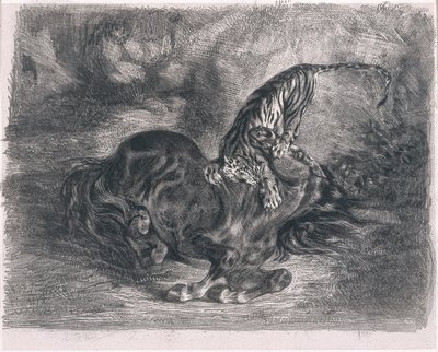 Cheval sauvage terrassé par un tigre - Ferdinand Victor Eugene Delacroix