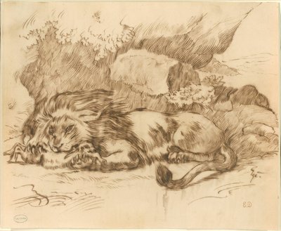 Lion dévorant un lapin - Eugène Delacroix