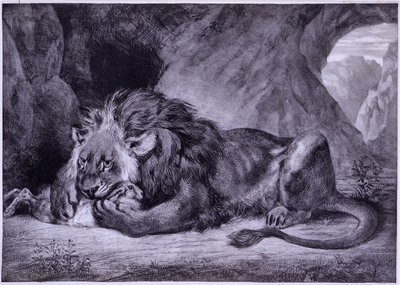 Lion de l