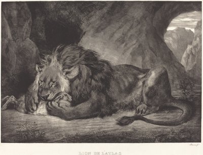 Lion de l