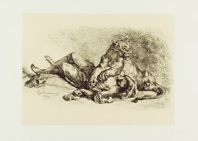 Lionne Déchirant la Poitrine d