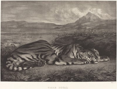 Tigre royal - Eugène Delacroix