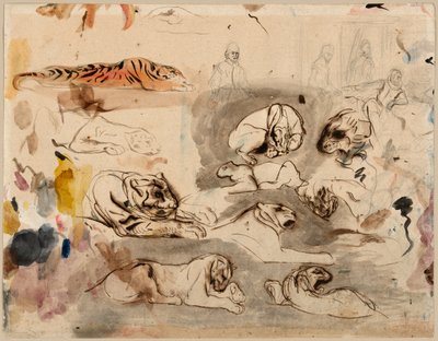 Esquisses de Tigres et Hommes en Costume du 16ème Siècle - Eugène Delacroix