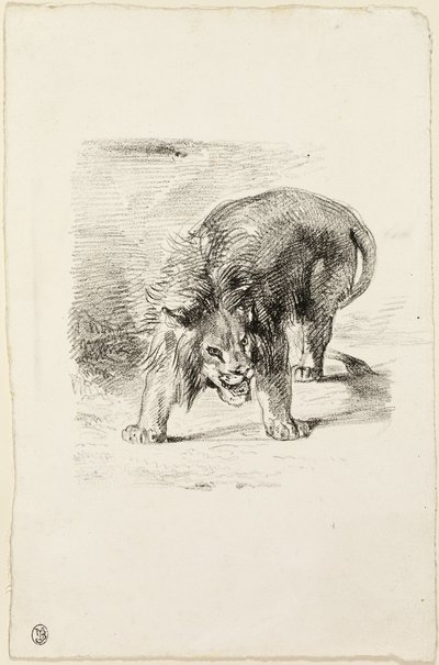 Lion debout - Eugène Delacroix