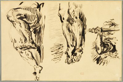 Étude des bras et des jambes du Christ crucifié - Eugène Delacroix