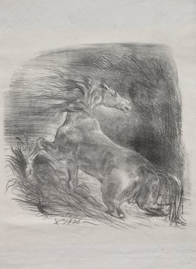Le cheval sauvage, ou cheval effrayé quittant l