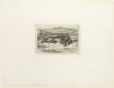 Tigre se reposant dans le désert - Eugène Delacroix