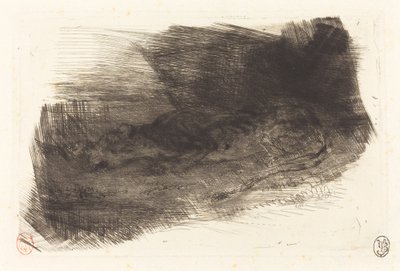 Tigre couché à l
