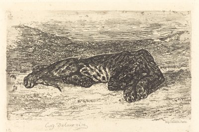 Tigre couché dans le désert - Eugène Delacroix