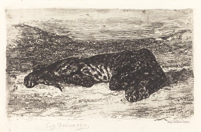 Tigre dormant dans le désert, vers 1830 - Eugène Delacroix