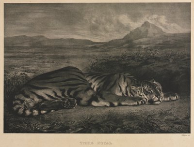 Tigre Royal - Eugène Delacroix