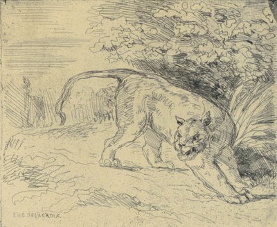 Tigre en Arrêt - Eugène Delacroix