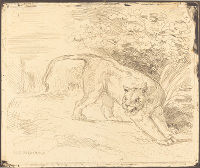 Tigre en arrêt - Eugène Delacroix