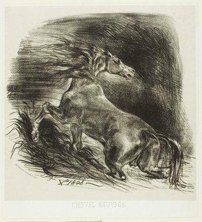 Cheval sauvage ou cheval effrayé quittant l