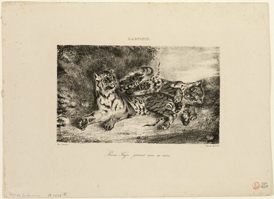 Jeune Tigre jouant avec sa Mère - Eugène Delacroix